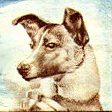 Laika, from a real Romanian postage stamp
