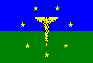 The Minervan Flag