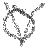 Velveteens Symbol