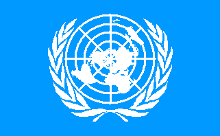 The UN Flag