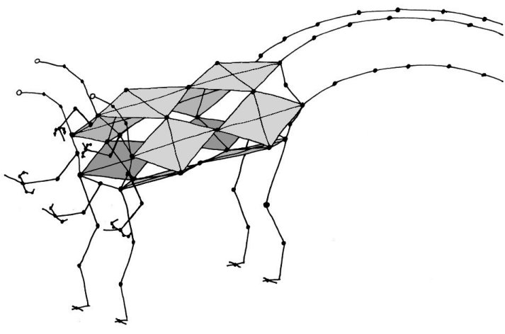 A rough representation of a Txkri skeleton