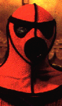 A Palace Guard