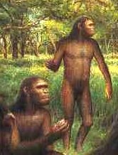 A Pak Breeder, also known as Homo Habilis, from http://www.teachersnetwork.org/powertolearn/web/Prehistory%20Web%20Quest/homo_habilis.htm